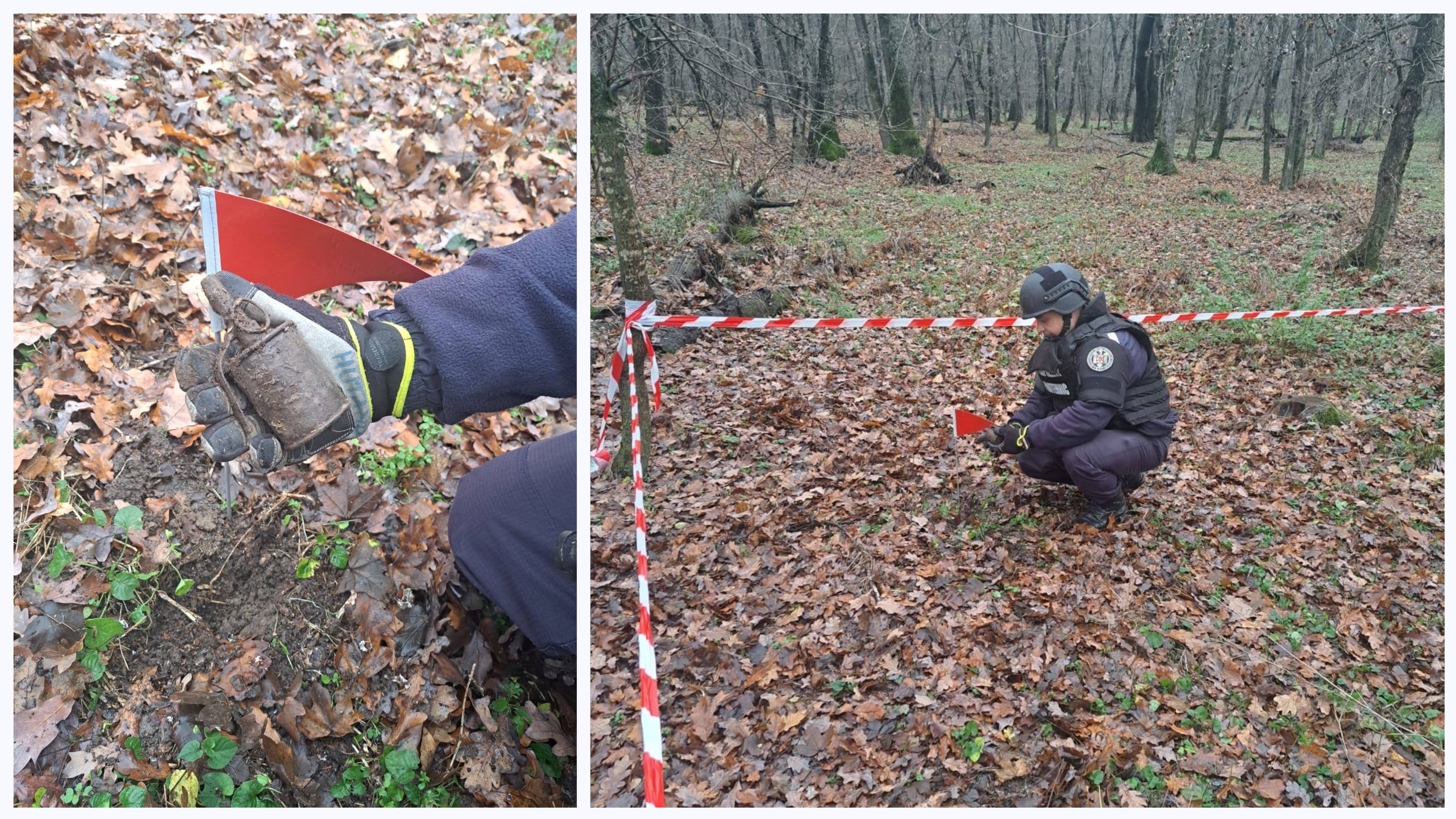 Grenadă ofensivă funcțională, descoperită într-o pădure din Botoșani de un pasionat de detecții metalice