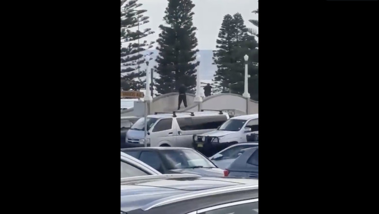 Captură de ecran din 2025-12-14 la 11.35.30