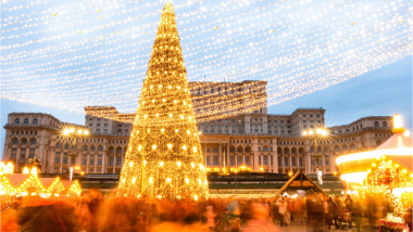 brad de craciun in bucuresti