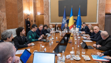 bolojan artistii guvern