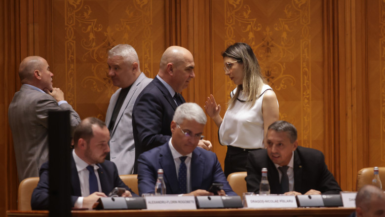 ilie bolojan diana buzoianu