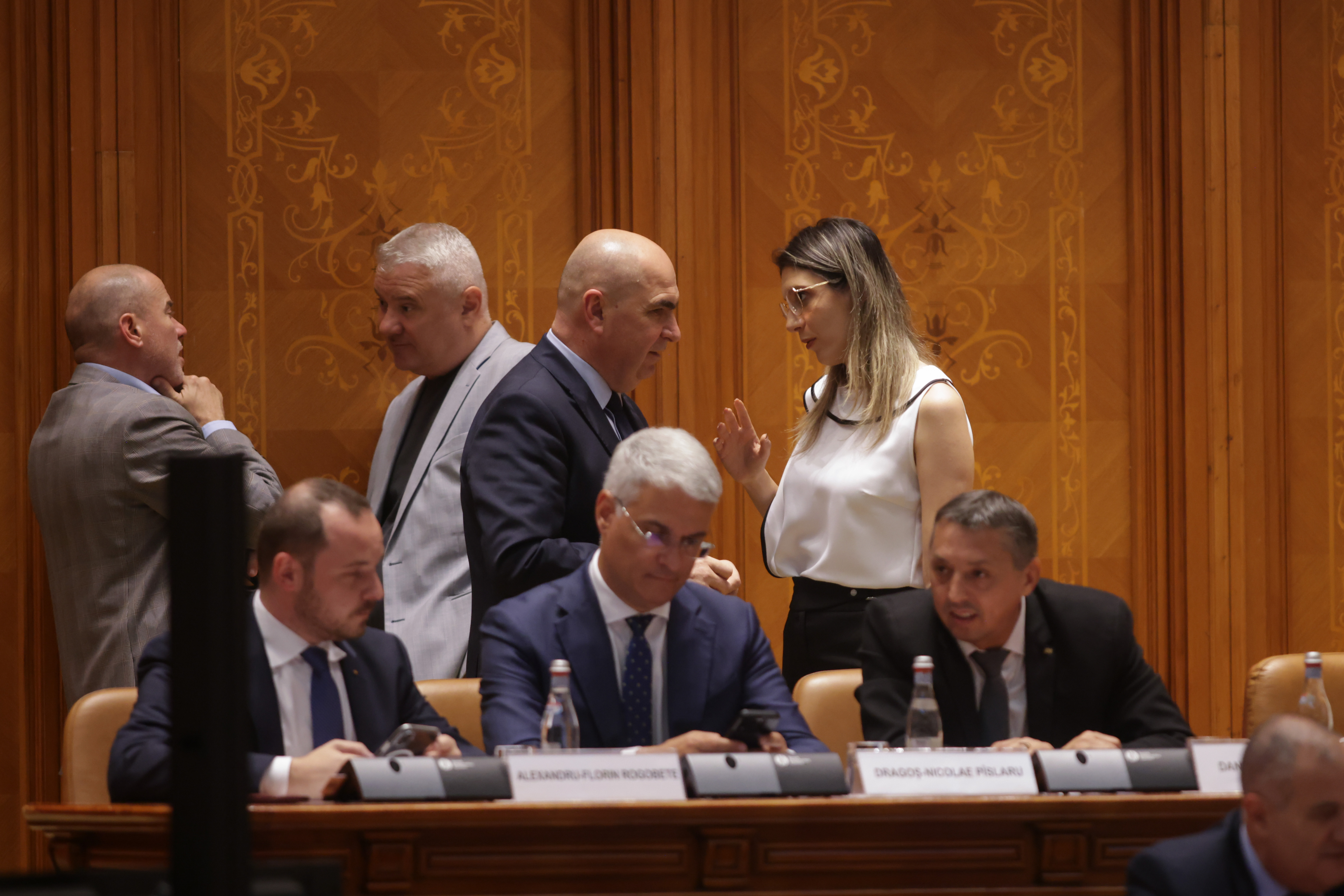 Presiuni asupra lui Bolojan: AUR și PSD cer demiterea ministrei Mediului Dianei Buzoianu, după adoptarea moțiunii simple