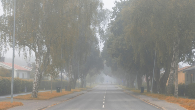 Swedish foggy autumn morning in Stockholm suburbs with rubbish recycling bins on the kerb