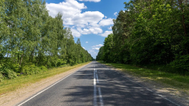 paved road with trees in the forest in sunny weather, trees along the paved road for cars