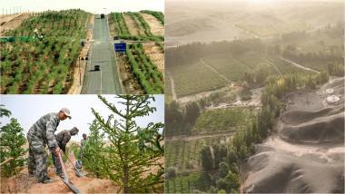 colaj poze Marele Zid Verde al Chinei - proiect uriaș pentru oprirea extinderii deșerturilor Gobi și Taklamakan