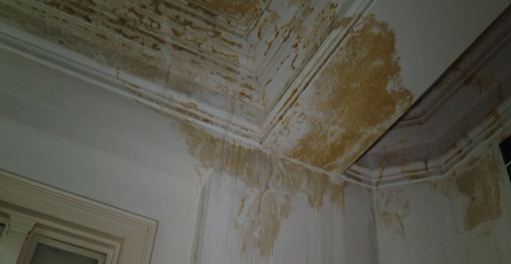 Clădire-simbol din inima Capitalei, în stare jalnică. Din Muzeul Național de Istorie a României mai e deschis doar parterul clădirii