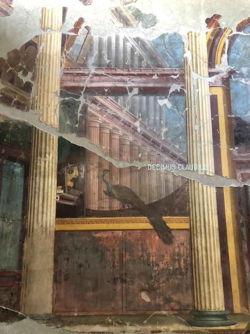 pompeii fresca paun