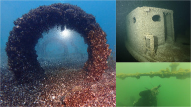 colaj cu scoici quagga invazive în Lacul Geneva și lacuri din SUA