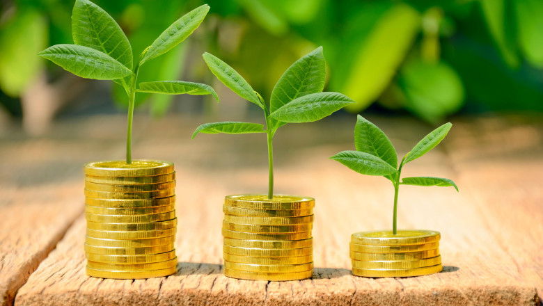 Peste 2,6 miliarde de lei pentru proiectele de mediu: investițiile din PNRR merg mai departe