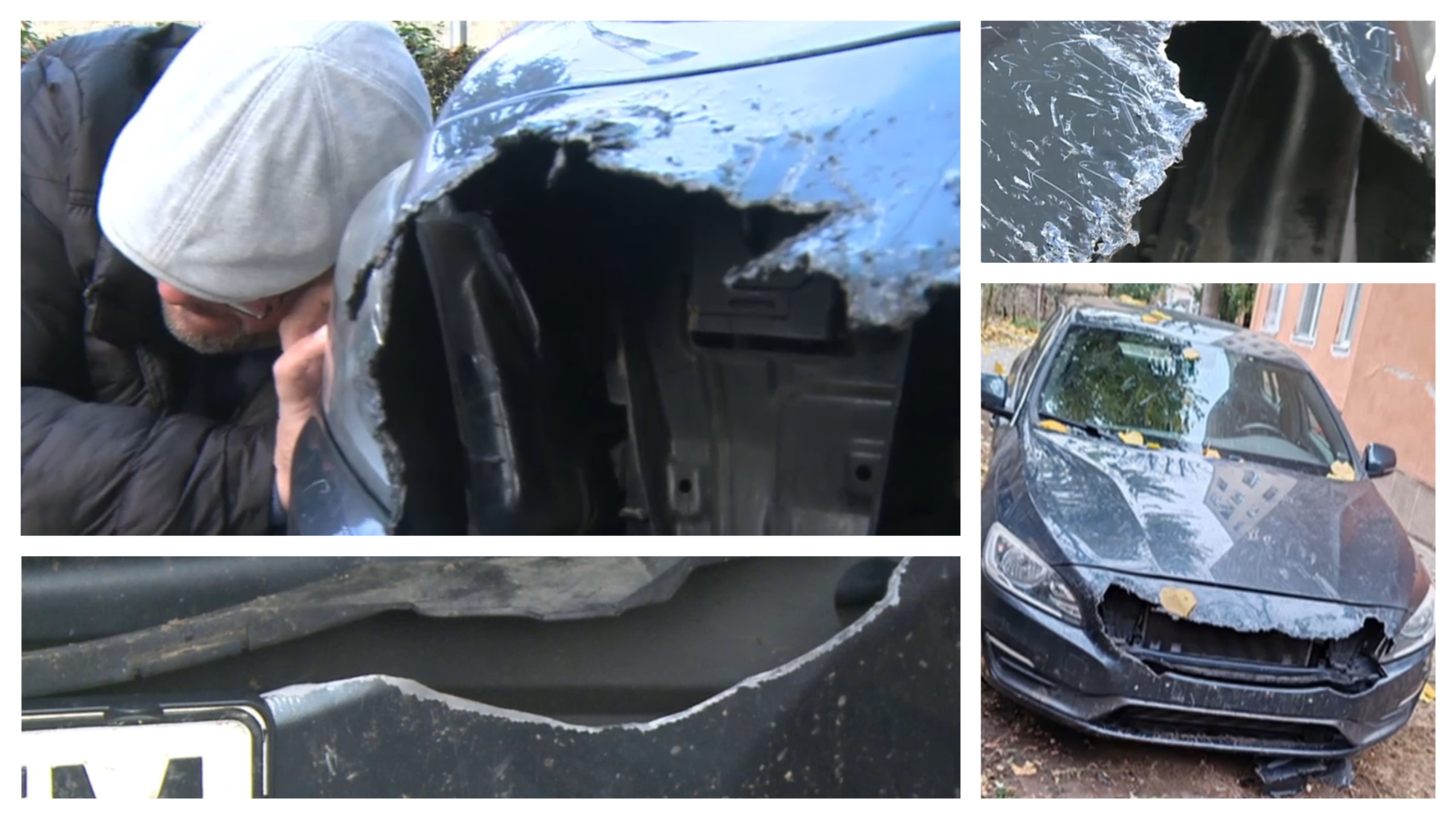 Câinii maidanezi din Arad au „mâncat” patru autoturisme. „Peste 6.000 de euro ne va costa repararea mașinii”