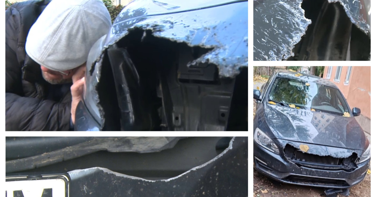 Câinii maidanezi din Arad au distrus patru autoturisme