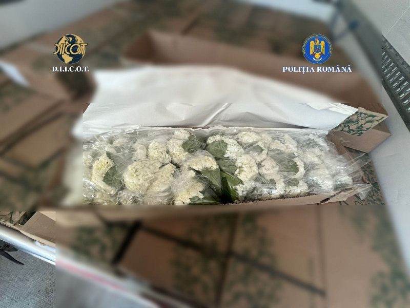 Peste 250 kg de cocaină din Columbia, ascunsă în transporturi de flori. 4 persoane au fost trimise în judecată, într-un dosar DIICOT