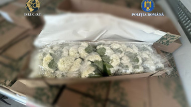 flori diicot cocaina