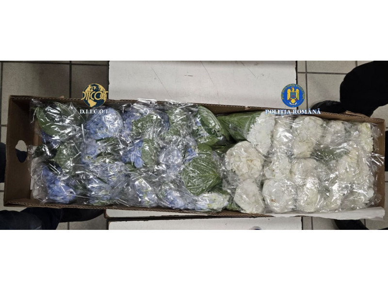 cocaina flori diicot