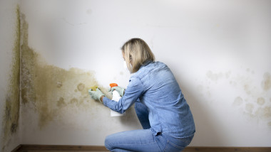Factorii care favorizează apariția mucegaiului în locuințe. Foto Getty Images