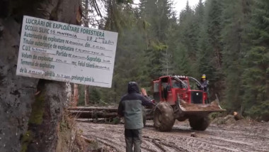 Screenshot 2025-12-13 011129