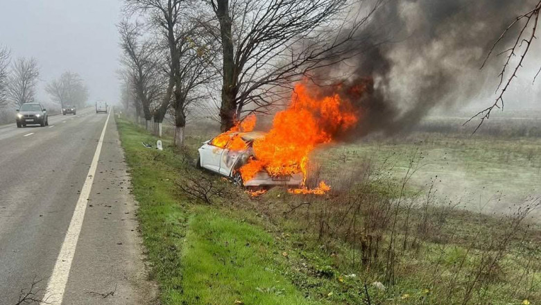 masina in flacari in copac