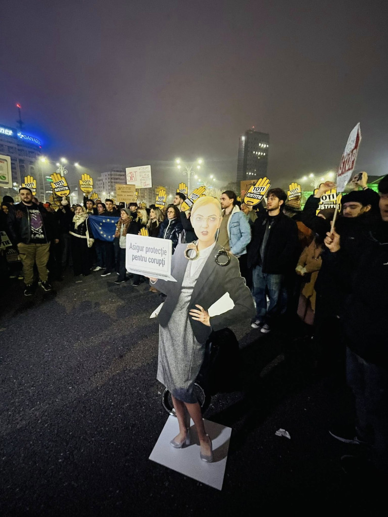 Diana maria voicu facebook