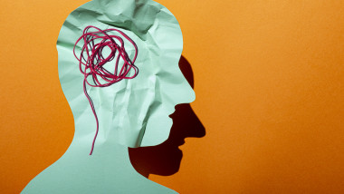 Conceptual Neurodiversity