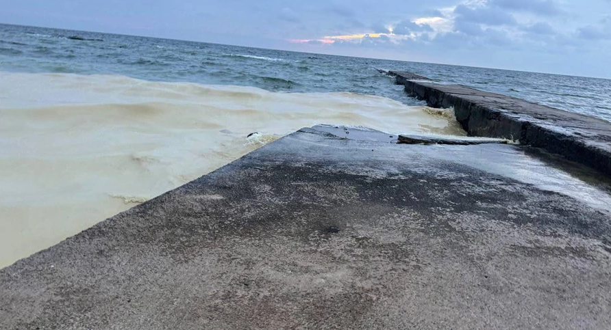 Scurgeri de ulei vegetal și păsări moarte găsite pe plajele din Odesa după un atac rusesc