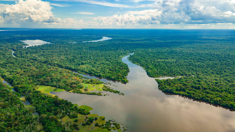 „Cocaină, aur și carne”: cum a devenit Amazonul columbian o afacere profitabilă pentru grupările criminale