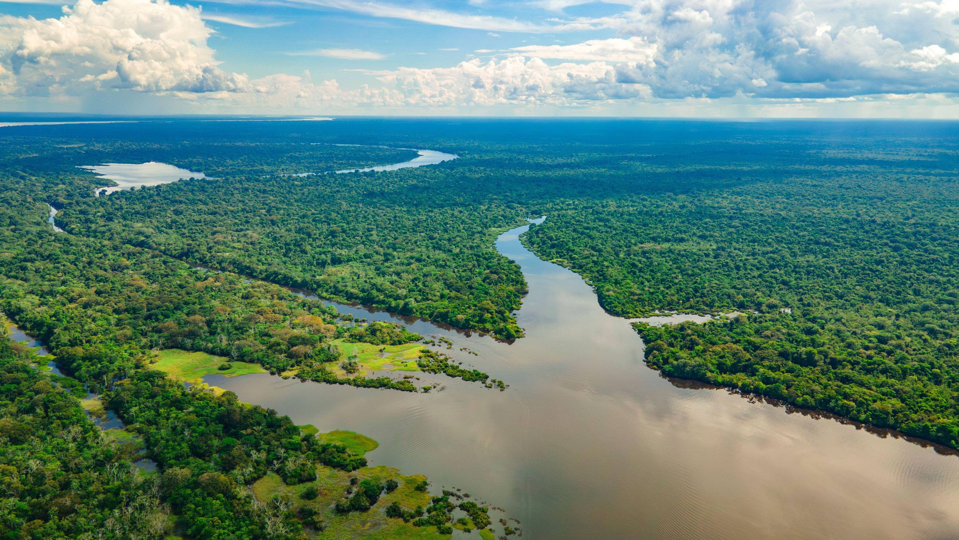 „Cocaină, aur și carne”: cum a devenit Amazonul columbian o afacere profitabilă pentru grupările criminale