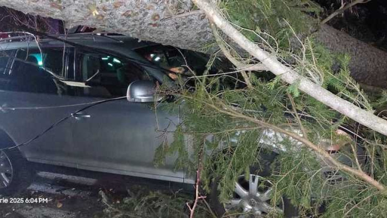 VIDEO  Furtună pe Valea Prahovei. Un copac a căzut peste o maşină cu trei persoane, la Sinaia, din cauza vântului puternic