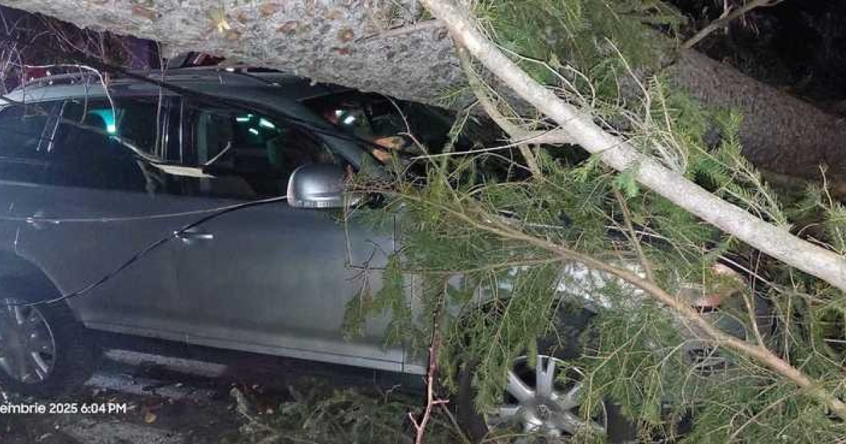 Furtună pe Valea Prahovei, copac căzut peste mașină