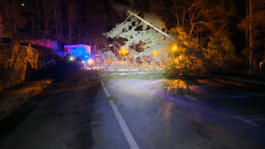 sinaia copaci cazuti