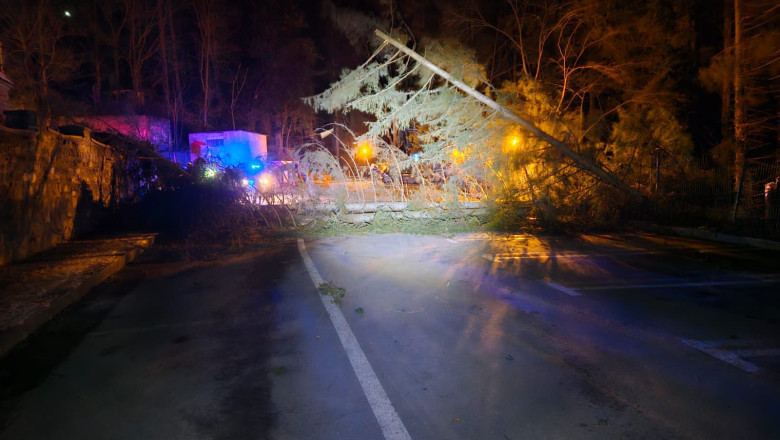 FOTO  Vânt cu rafale de 110-130 km/h în Sinaia: zeci de arbori, stâlpi căzuți și echipe de intervenție mobilizate