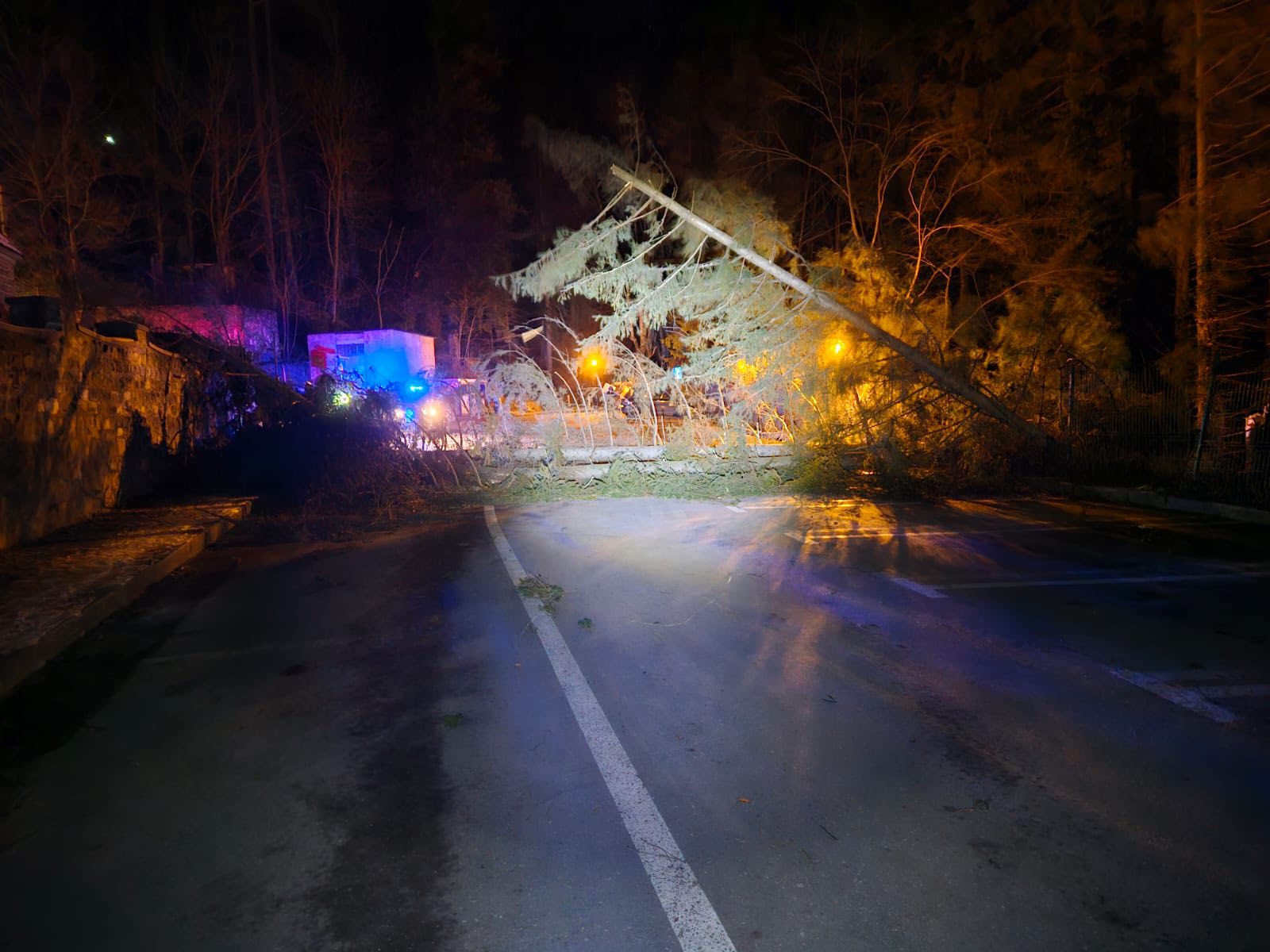 Vânt cu rafale de 110-130 km/h în Sinaia: zeci de arbori, stâlpi căzuți și echipe de intervenție mobilizate