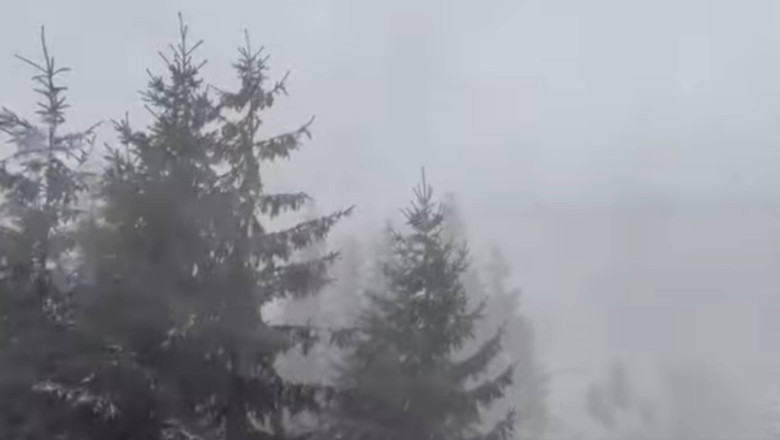 VIDEO  Turiști blocați în Refugiul Călțun. Operațiunea de evacuare, planificată pentru luni: Am fi pus în pericol salvatorii