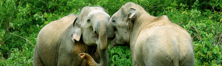 Misterele râului Mekong | ep. 3