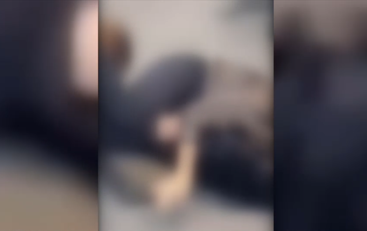 De ce s-au bătut două femei la Timișoara: un influencer din campania lui Călin Georgescu, în mijlocul scandalului