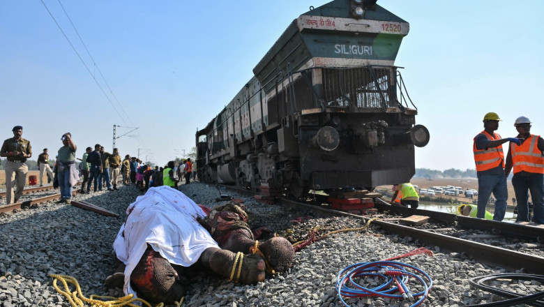 Accident dramatic în India. Şapte elefanţi au murit după ce au fost loviți de un tren