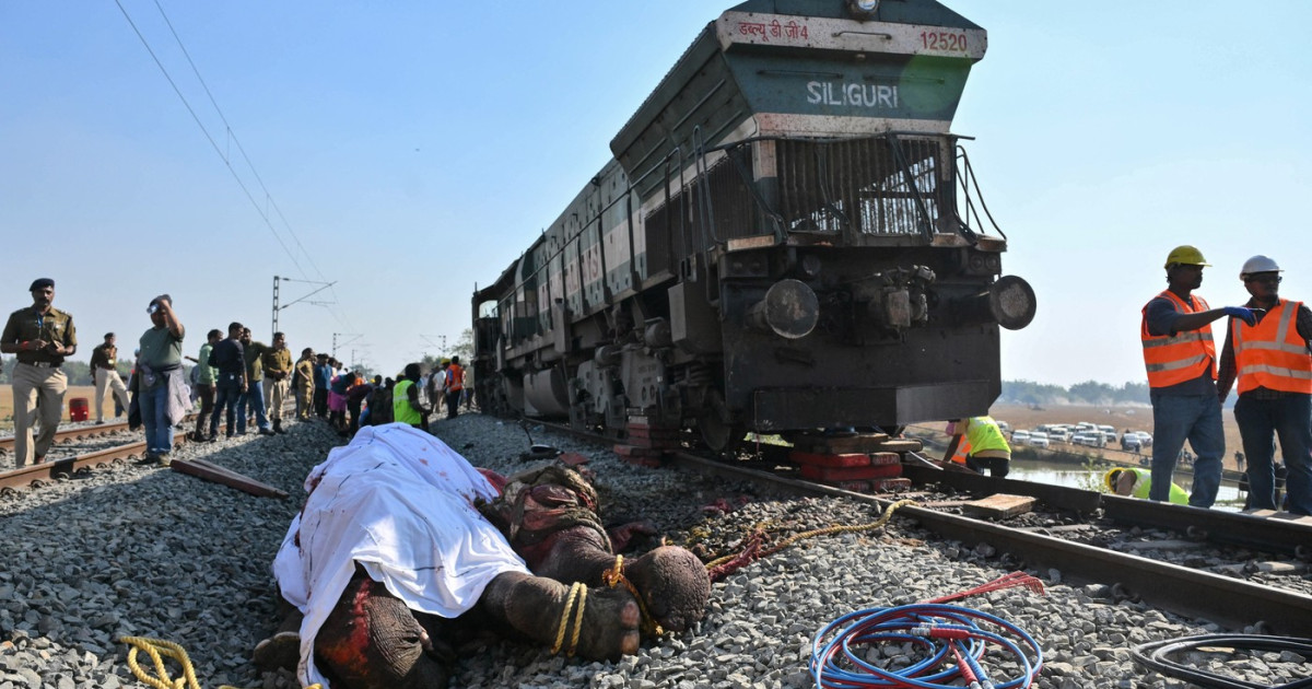 Accident feroviar cu elefanți în India