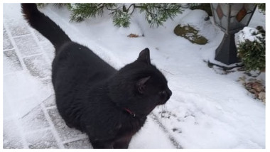 „Taxa de horoscop” pe care vor fi nevoiți să o plătească românii la un spital din Suceava