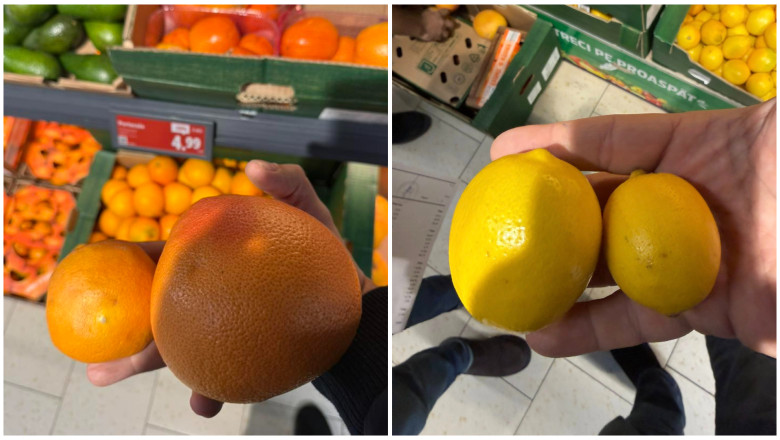 VIDEO  Avertisment de la directorul ANPC: În România sunt vândute portocale și lămâi care ar trebui date la porci