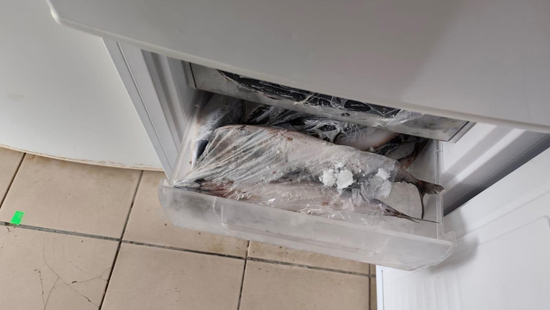 ANPC a făcut controale în zone turistice și a dat amenzi de 1,6 milioane de lei. Ce nereguli au fost descoperite