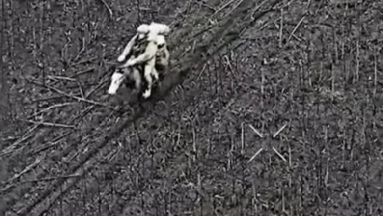 VIDEO  Momentul în care soldați ruși călare pe cai sunt eliminați de ucraineni: „Nici acest lucru nu îi ajută”