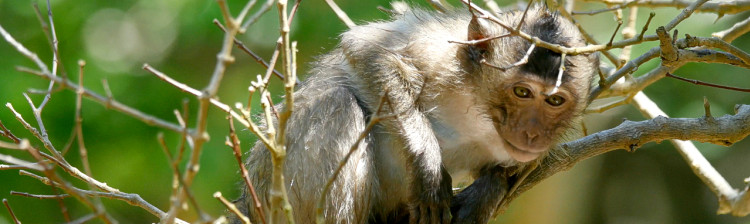 Misterele râului Mekong | ep. 8