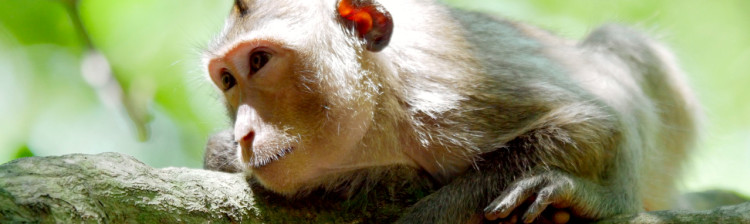 Misterele râului Mekong | ep. 9