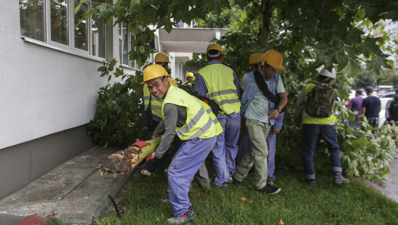 Câți muncitori străini vor fi admiși pe piața muncii din România în 2026. Guvernul a decis