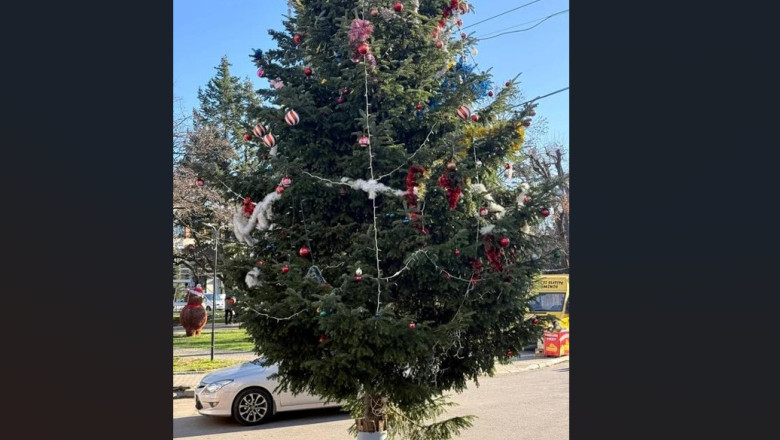Situație scandaloasă în Vâlcea: Bradul de Crăciun din centrul unui oraș a fost tăiat din cimitir, de la mormântul unui localnic