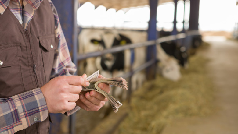România a primit aproape 1 miliard de euro din fonduri UE pentru agricultură. Sumele acoperă avansurile plătite fermierilor