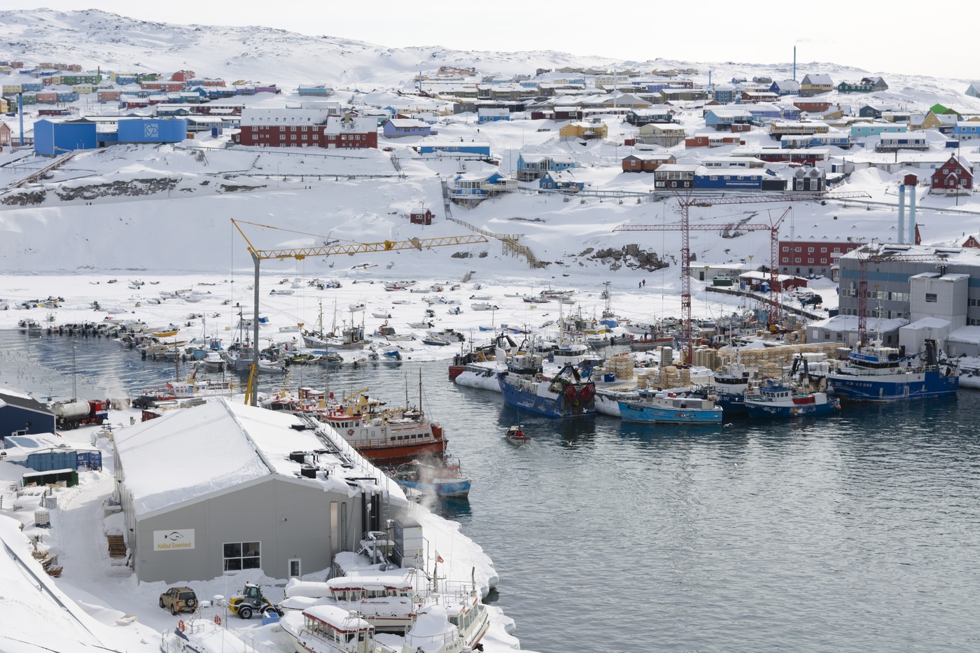Comoara ascunsă a insulei arctice râvnite de Trump: uraniu, aurul, diamantele și rubinele Groenlandei