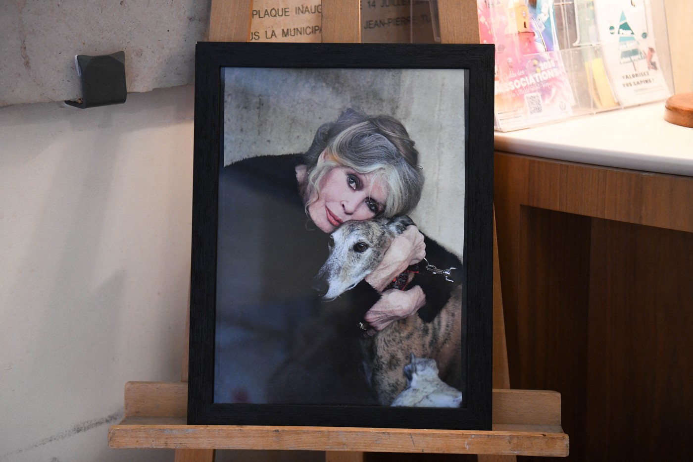 Fundația „Brigitte Bardot” va ataca în justiție escrocii care vând produse cu imaginea actriței, sub pretextul unor donații false