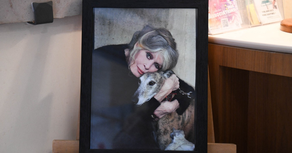 Fundația „Brigitte Bardot” atacă escrocii după deces