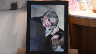 Brigitte Bardot Tribute At Town Hall - Saint Tropez