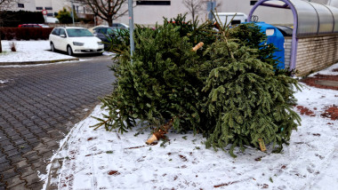 Unde se aruncă bradul natural de Crăciun după sărbători. Foto Getty Images